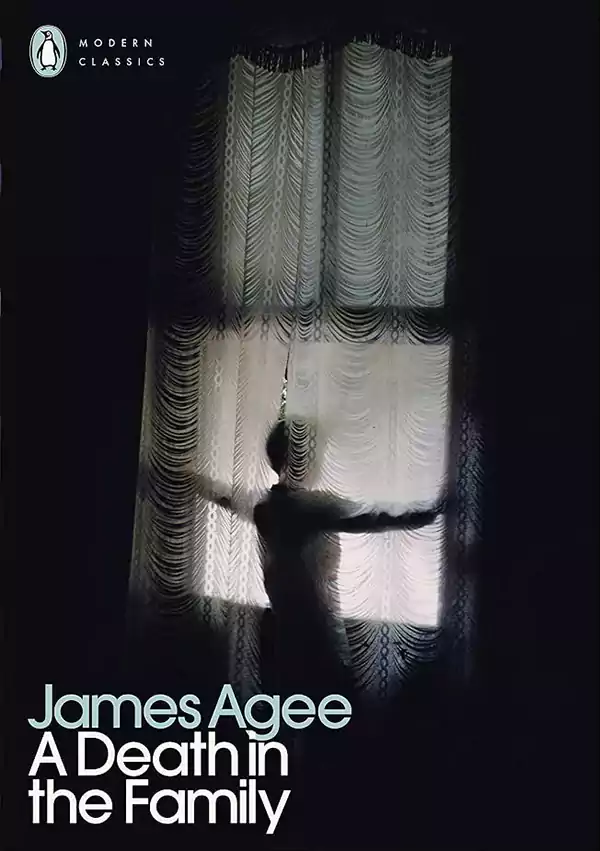 A Death in the Family Review 1