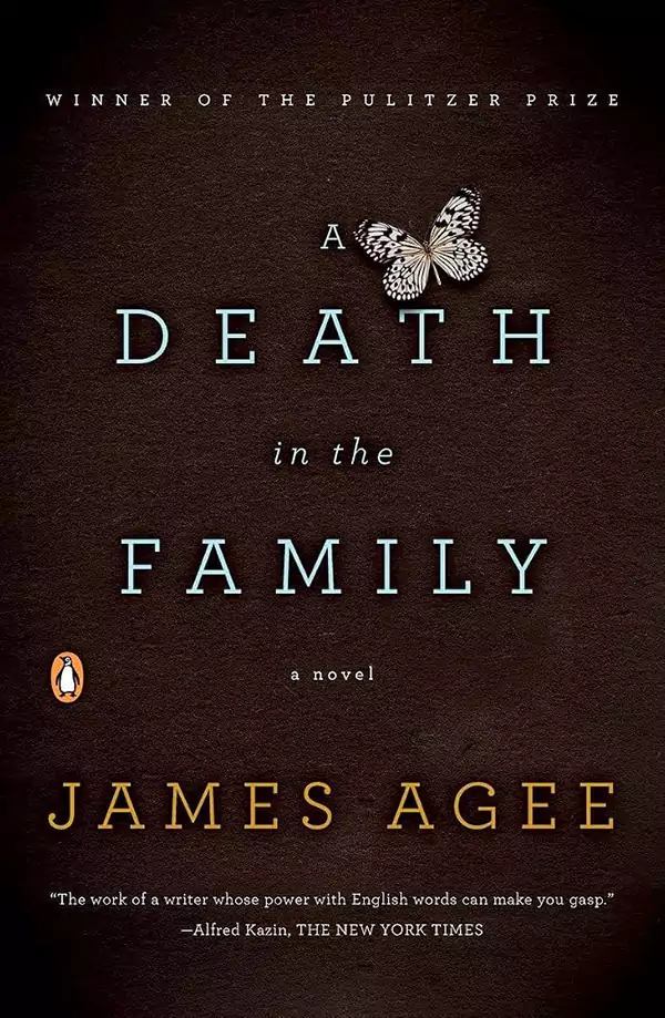 A Death in the Family Reviews